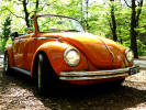 Mijn Volkswagen kever 1303 (Superbeetle) in het bos