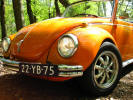 Mijn Volkswagen kever 1303 (Superbeetle) in het bos