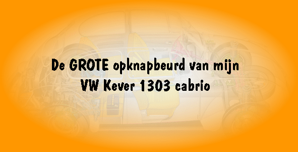 Logo met doorsnede van Volkswagen kever 1303.