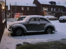 De kever in de sneeuw