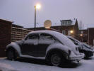 De kever in de sneeuw